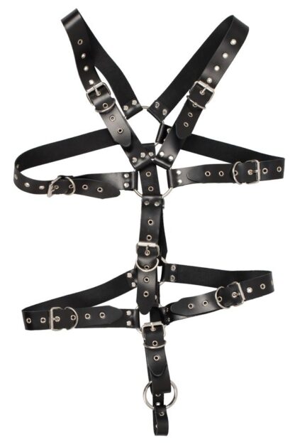 Zado Harness - Image 2